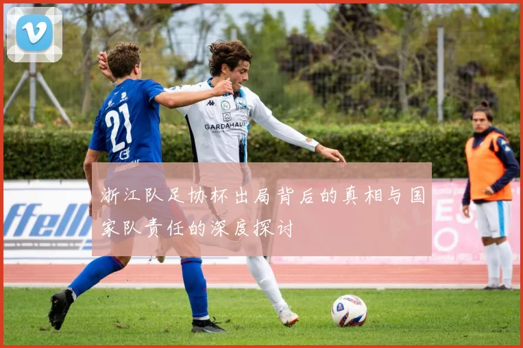 浙江队足协杯出局背后的真相与国家队责任的深度探讨