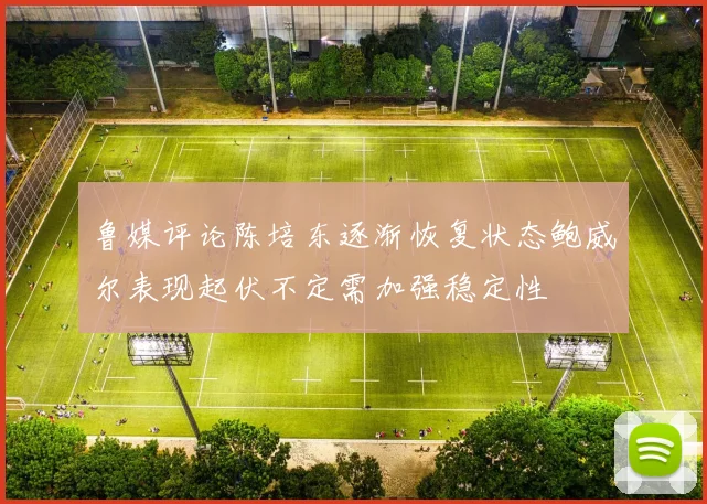 鲁媒评论陈培东逐渐恢复状态鲍威尔表现起伏不定需加强稳定性